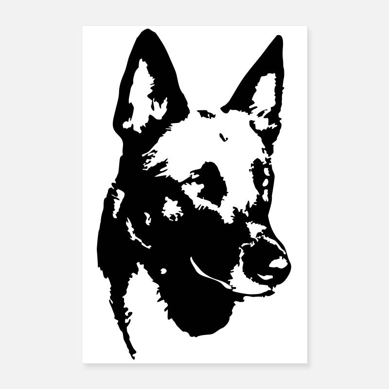 Tête de malinois Poster 40 x 60 cm