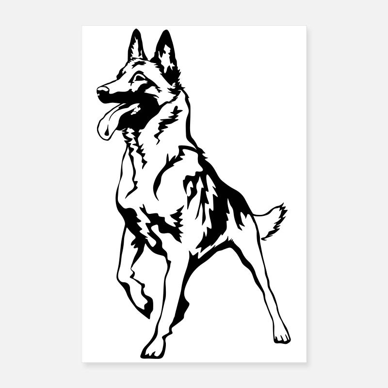 Malinois Poster 40x60 cm