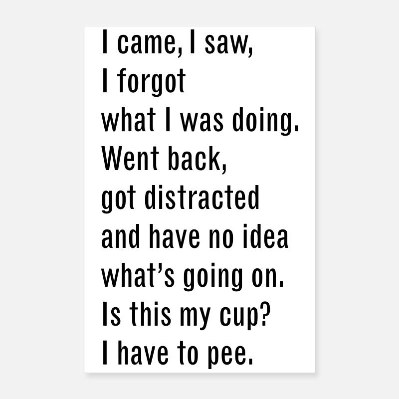 46 I Came I Saw Poster 16" x 24" (40x60 cm)