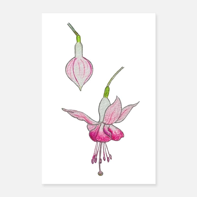 Fuchsia flower Poster 16" x 24" (40x60 cm)