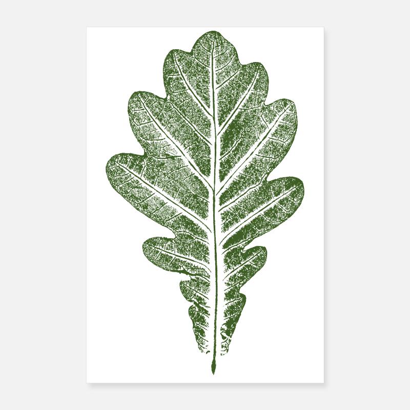 Blatt Eiche - Eichenblatt / Natur & Wald Design Poster 40x60 cm