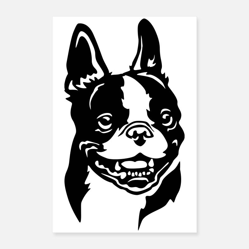 Boston Terrier Kopf Poster 40x60 cm