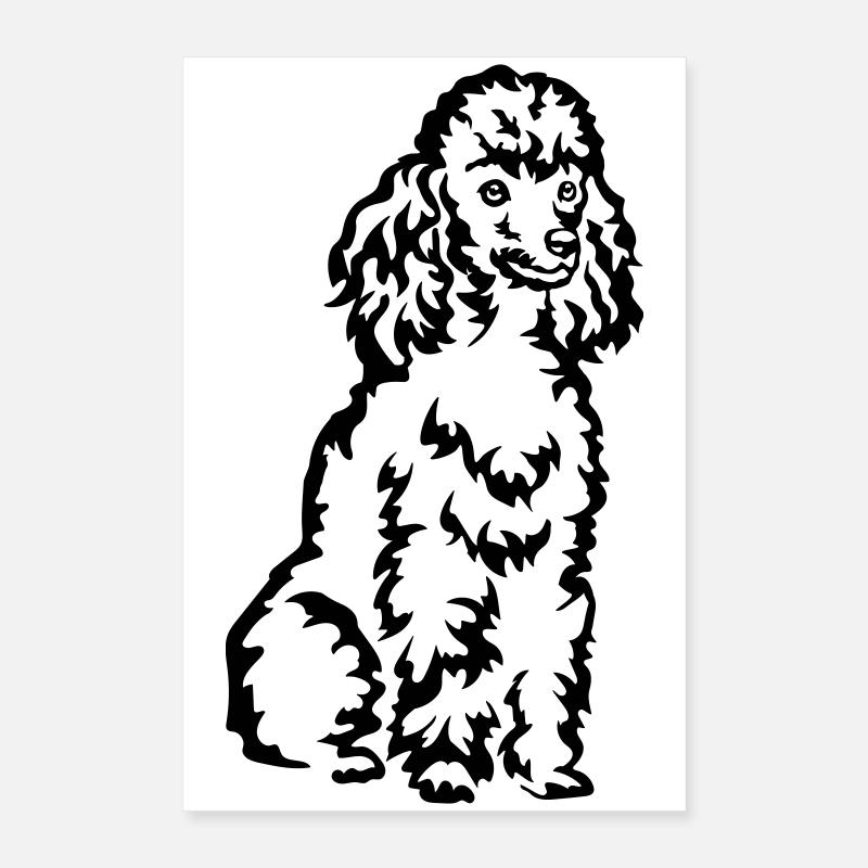 Pudel Poster 40x60 cm