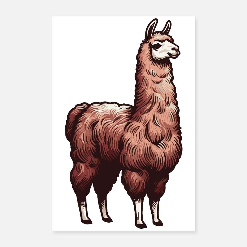 Lama brun Poster 40 x 60 cm