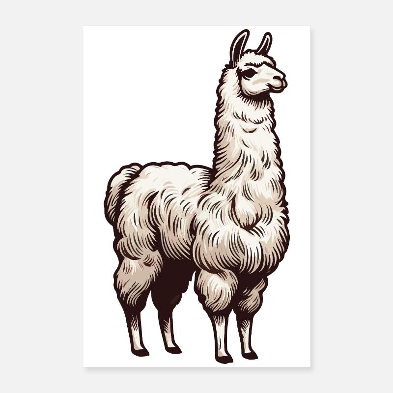 White llama Poster 16" x 24" (40x60 cm)