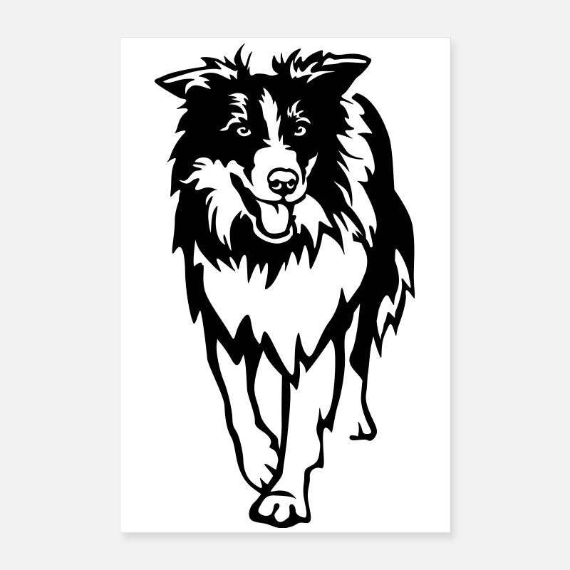 Border Collie Poster 40x60 cm