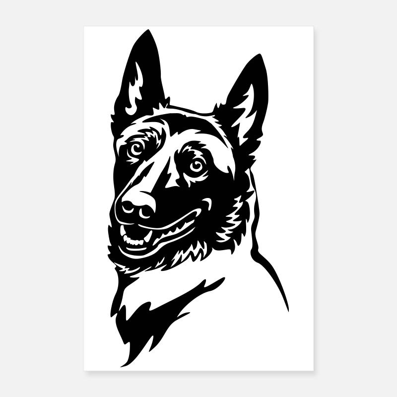 Malinois Kopf Poster 40x60 cm