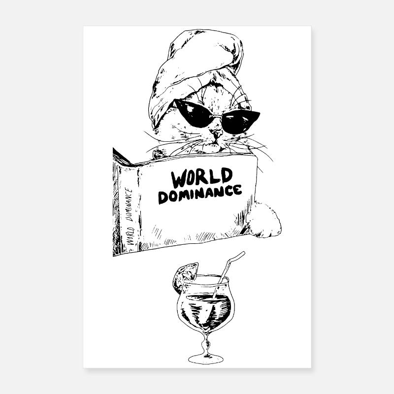 DOMINATION MONDIALE Poster 40 x 60 cm