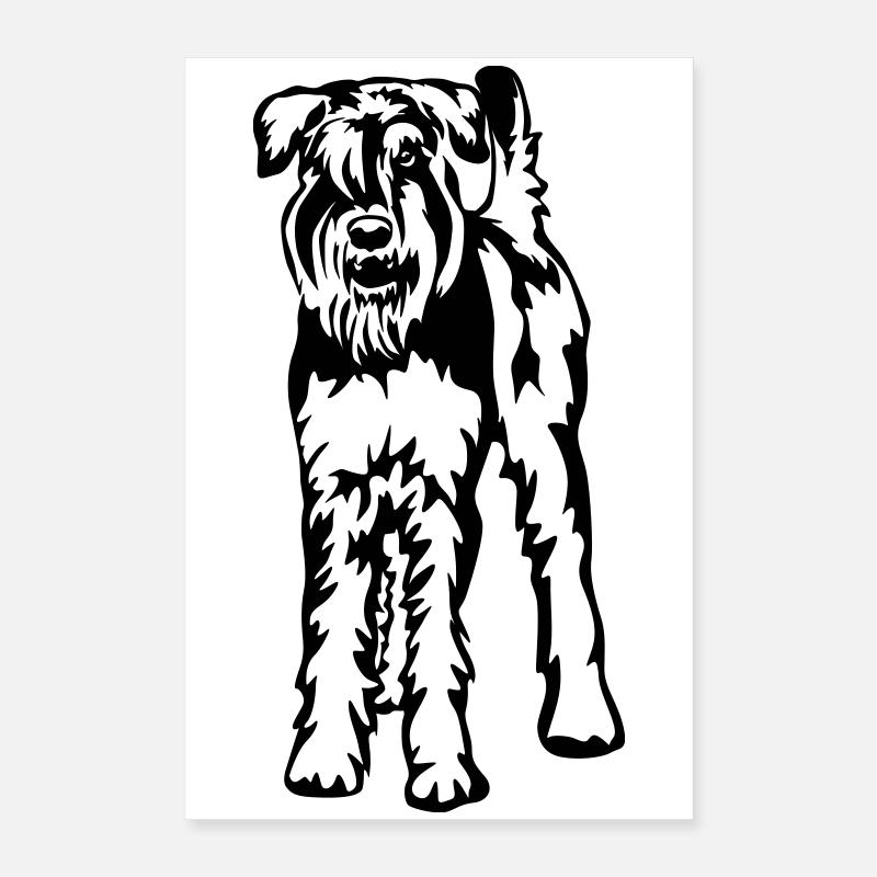 Schnauzer géant Poster 40 x 60 cm