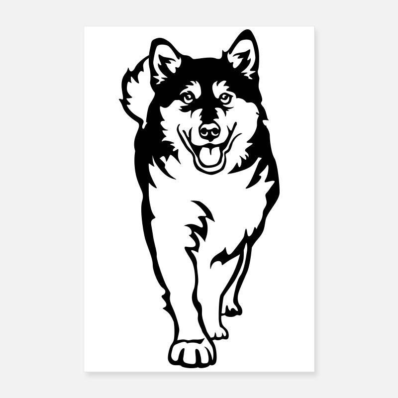Alaskan Malamute Poster 40x60 cm