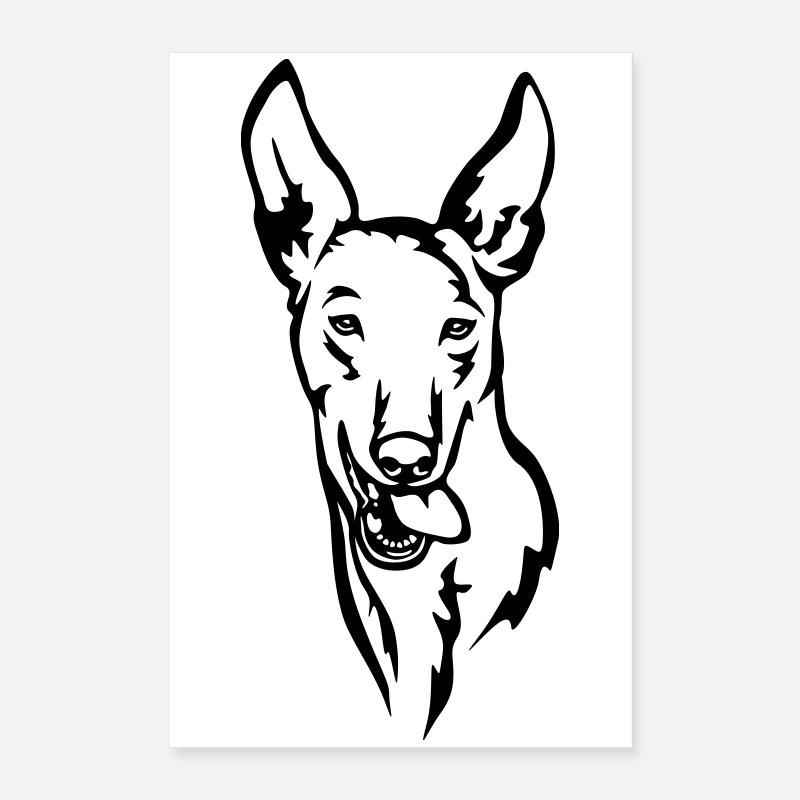 Tête Podenco Poster 40 x 60 cm