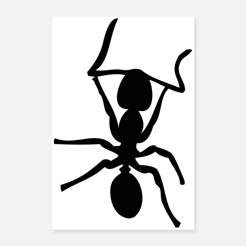 Fourmis - Insectes - Fourmis Poster 40 x 60 cm