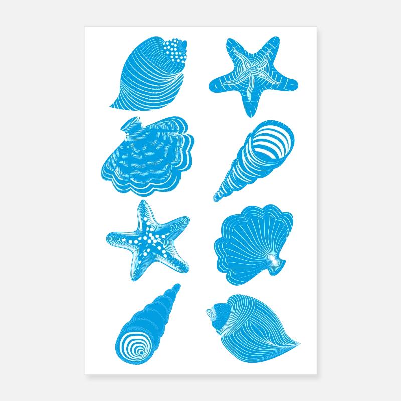 Coquillages et étoiles de mer Poster 40 x 60 cm