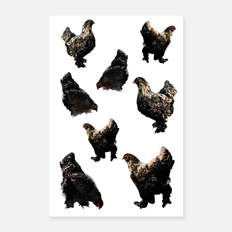 Poulets Poster 40 x 60 cm