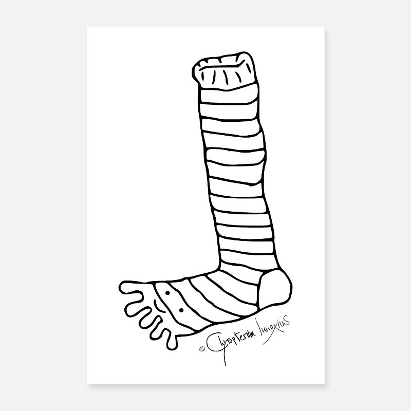Stripetoesock - Tibiale Polymitum Poster 40 x 60 cm