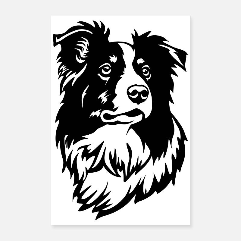 Border Collie Kopf Poster 40x60 cm