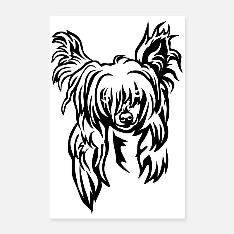 Chinese Crested Kopf Poster 40x60 cm