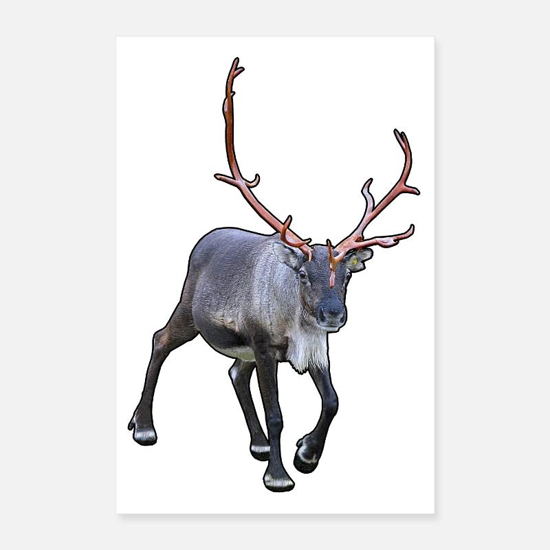 Renne Poster 40 x 60 cm