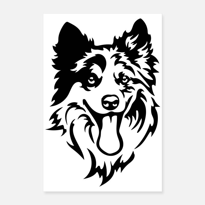 Border Collie Head Poster 16" x 24" (40x60 cm)