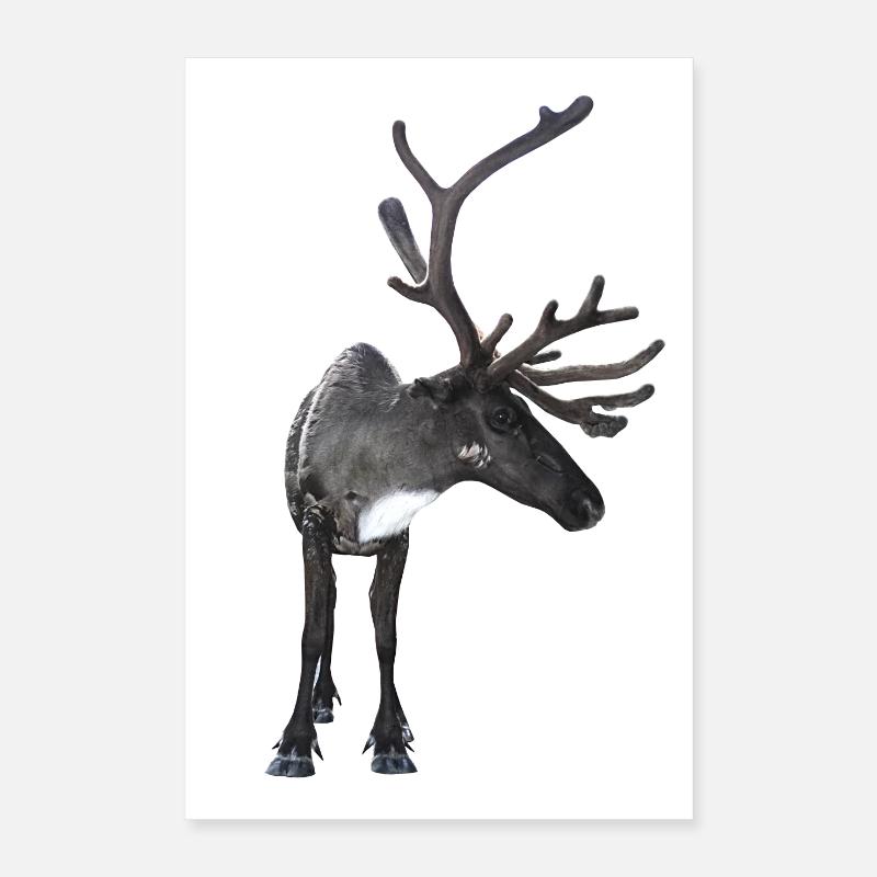 Rentier Poster 40x60 cm