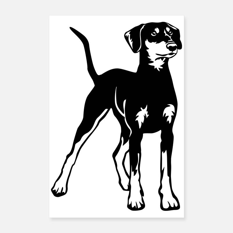 Pinscher allemand Poster 40 x 60 cm