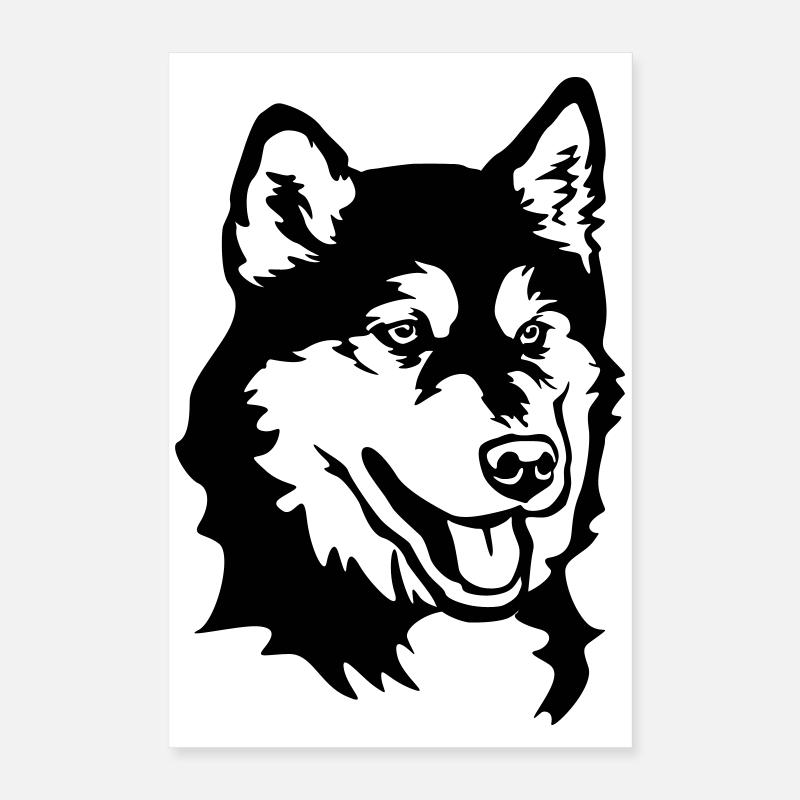 Tête de Malamute d’Alaska Poster 40 x 60 cm