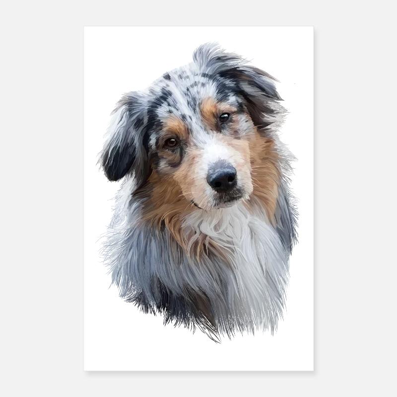 Australian Shepherd Poster 40x60 cm