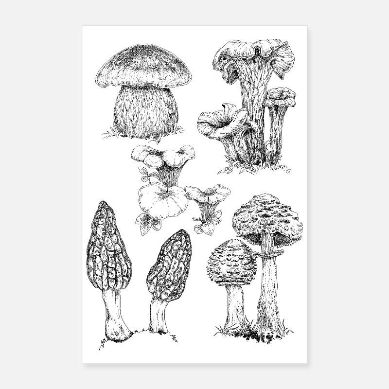 Champignons Poster 40 x 60 cm