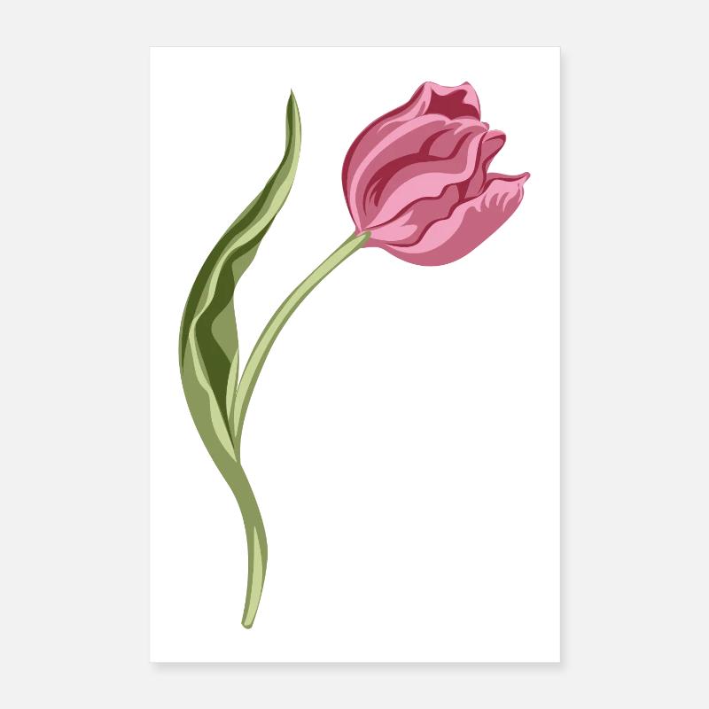 Illustration élégante de tulipe rose Poster 40 x 60 cm
