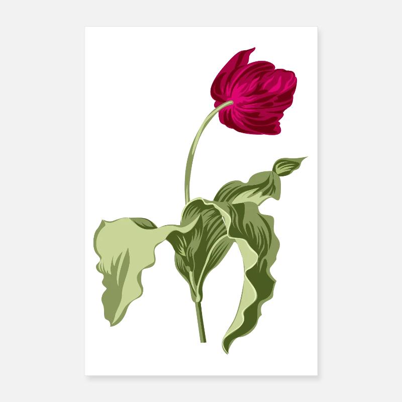 Illustration de tulipe élégante Poster 40 x 60 cm