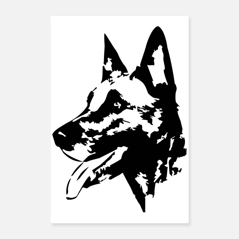 Tête malinoise Poster 40 x 60 cm