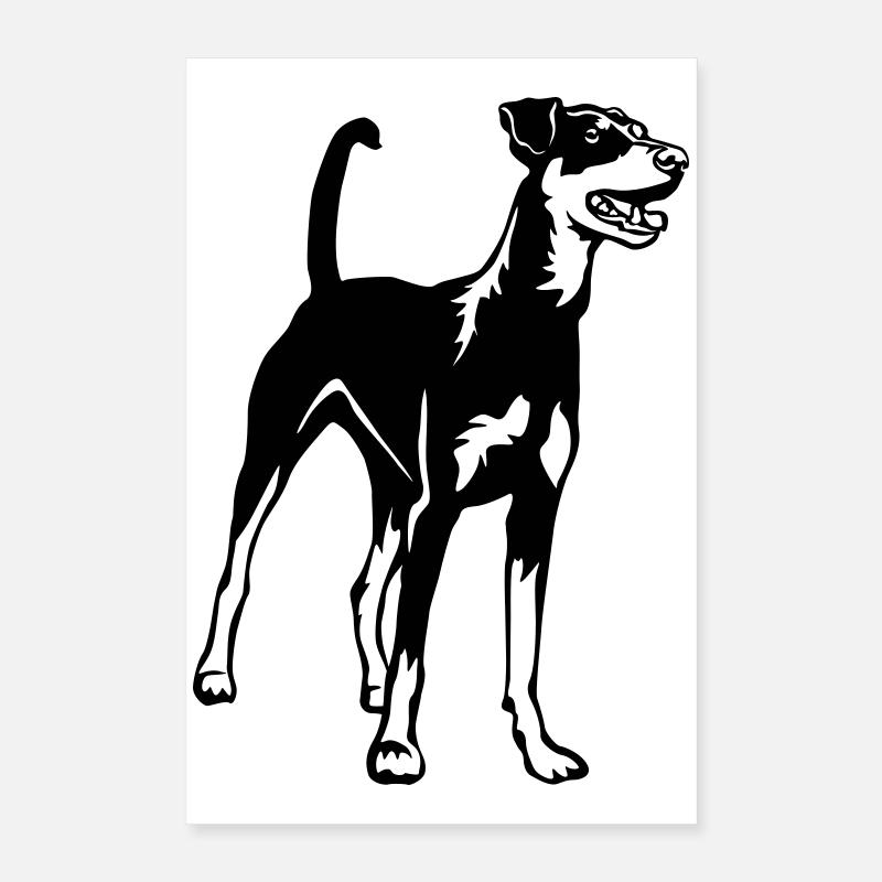 Pinscher allemand Poster 40 x 60 cm