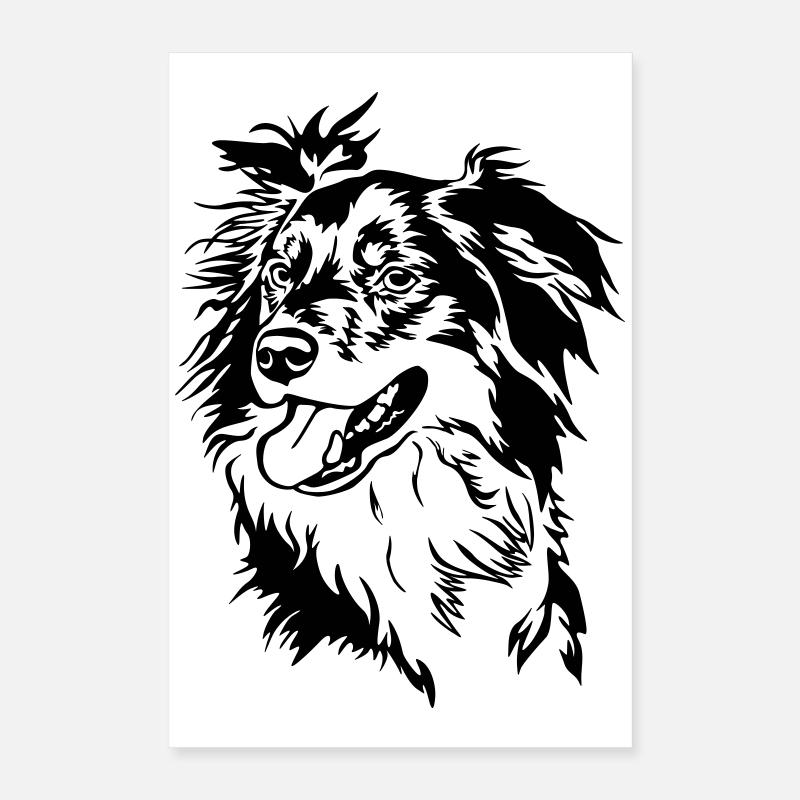 Border Collie head Poster 16" x 24" (40x60 cm)