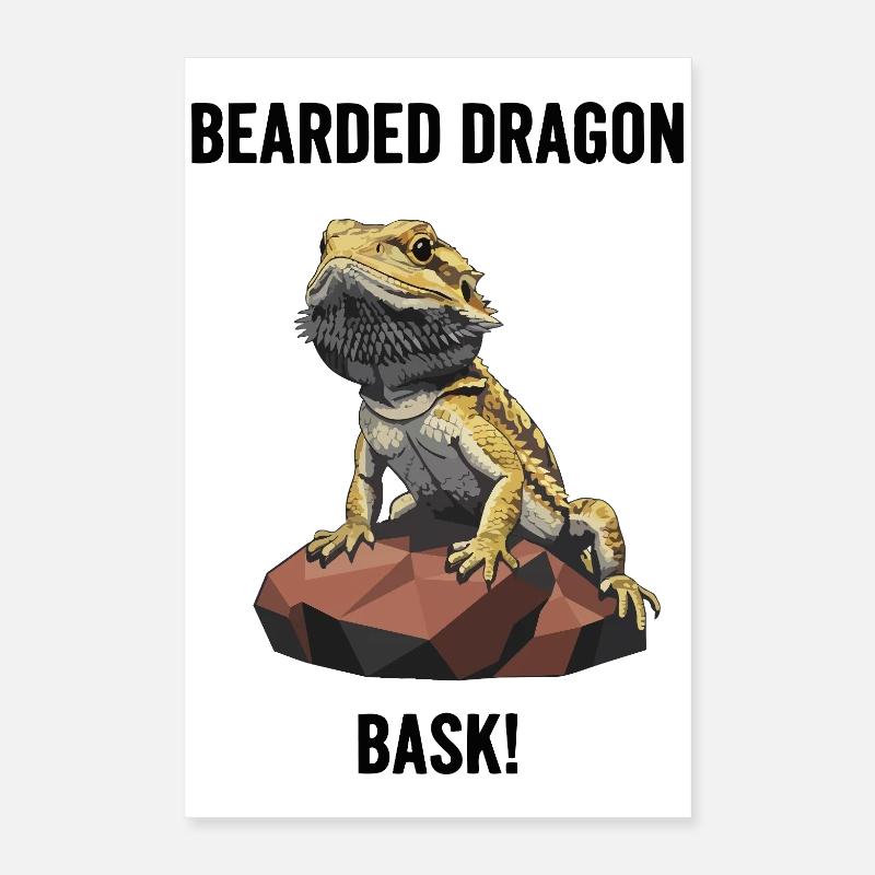 Agame Bearded Lizard Bask Bearded Dragon Poster 16" x 24" (40x60 cm)