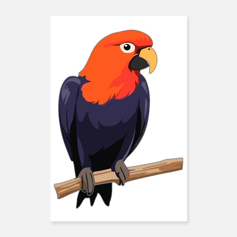 Papagei Vogel Poster 40x60 cm