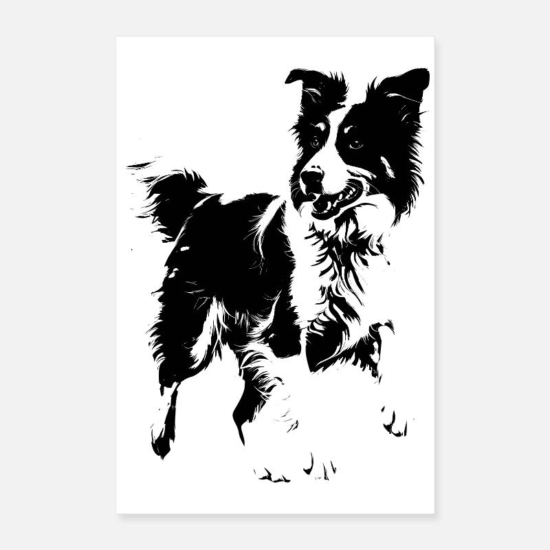 Border Collie breed dog Poster 16" x 24" (40x60 cm)
