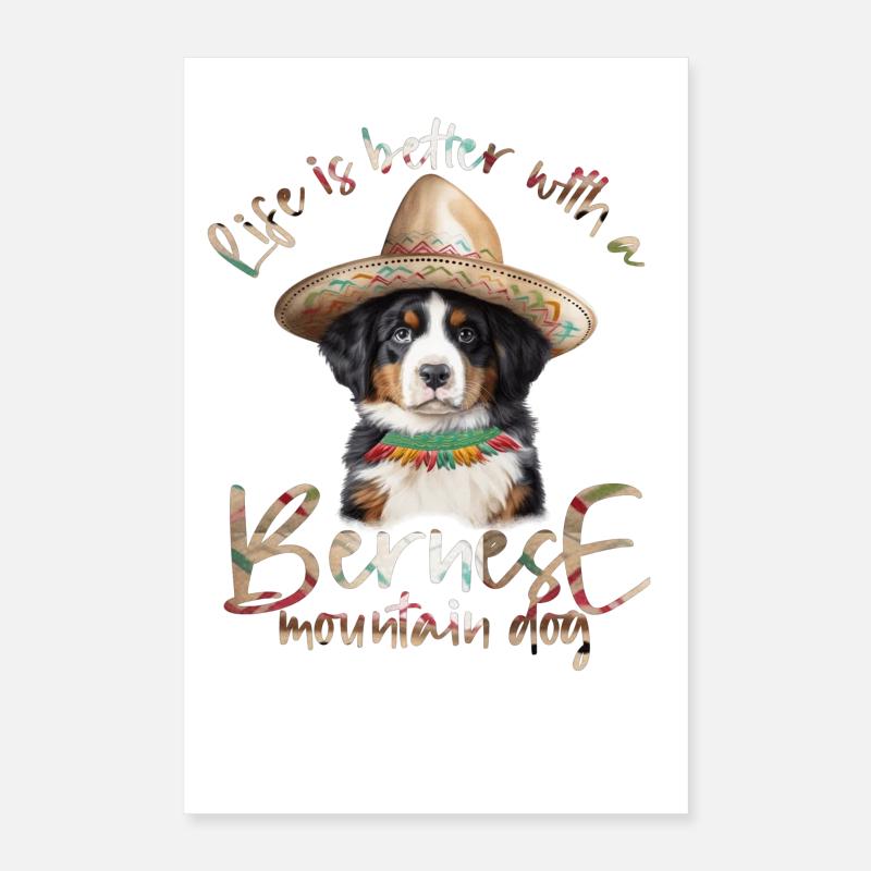 Bouvier bernois Poster 40 x 60 cm