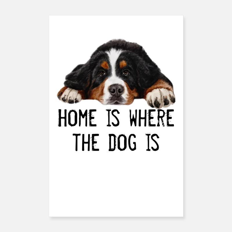 Bouvier bernois Poster 40 x 60 cm
