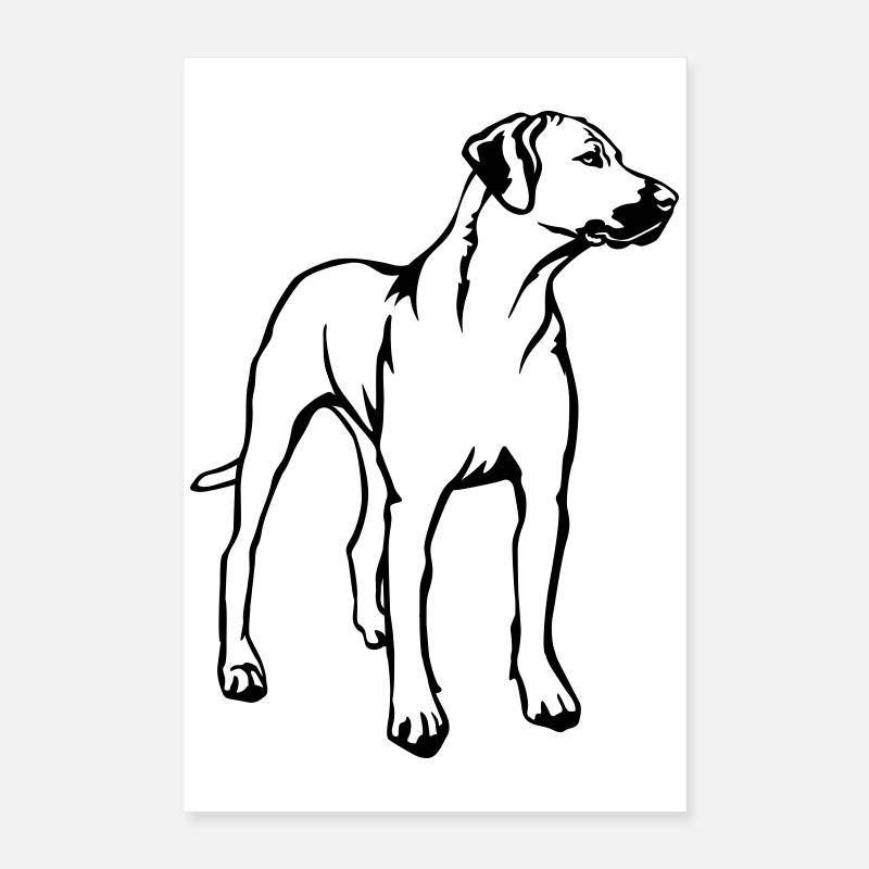 Rhodesian Ridgeback Poster 40 x 60 cm