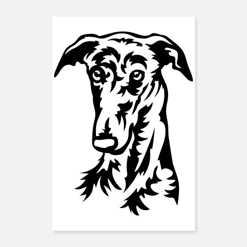 Galgo Kopf Poster 40x60 cm