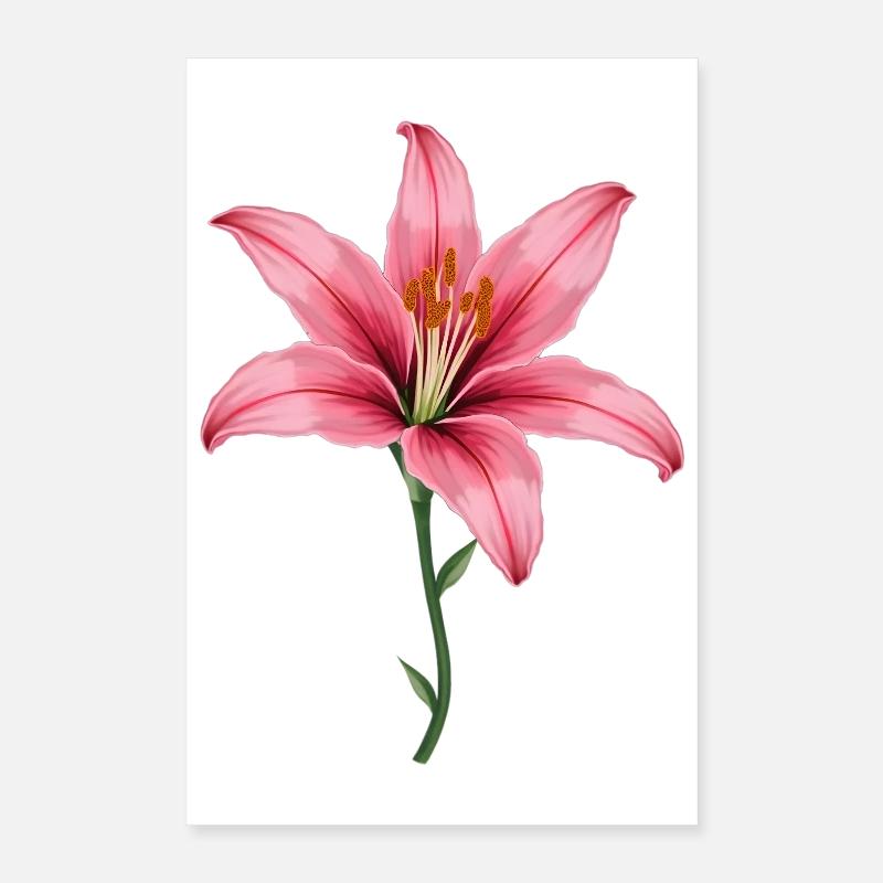 Pink Lily Poster 16" x 24" (40x60 cm)