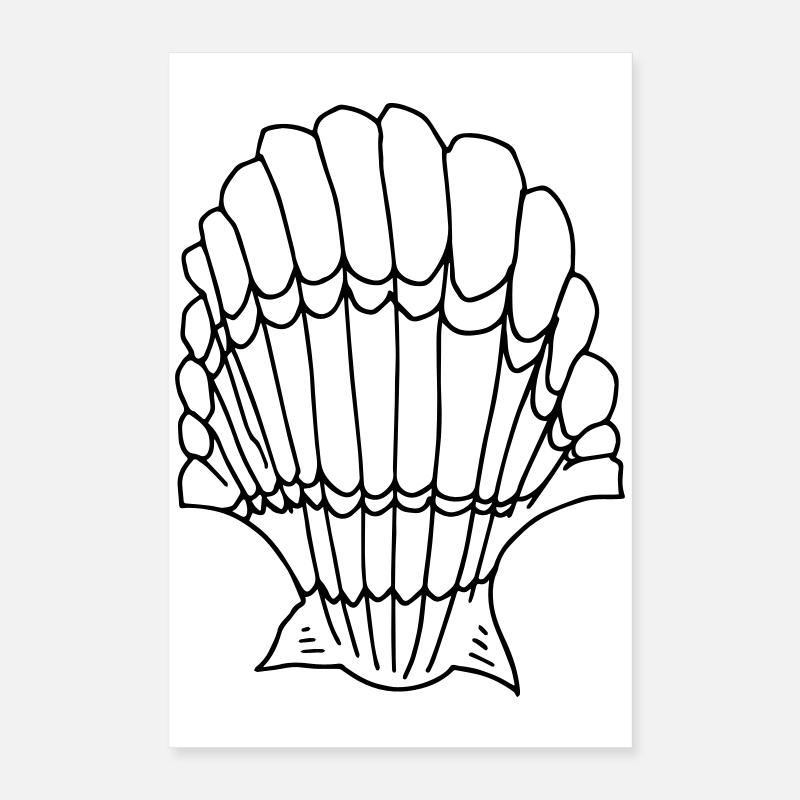 coquille Poster 40 x 60 cm