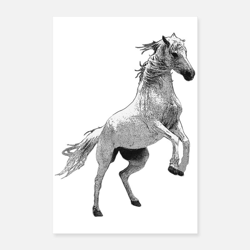 cavaliers, équitation nationale, équitation Poster 40 x 60 cm