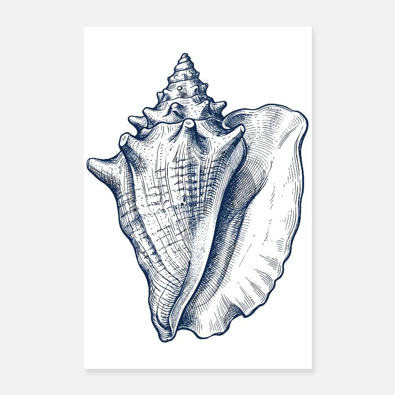Sea Shell Illustration in Blue Poster 16" x 24" (40x60 cm)