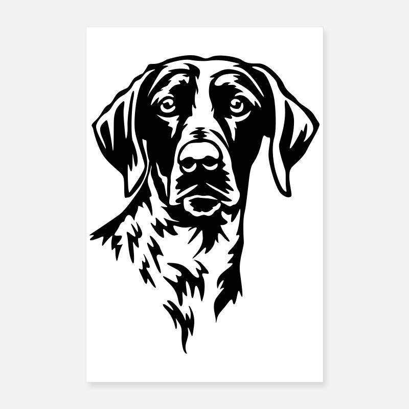 Deutsch Kurzhaar Kopf Poster 40x60 cm