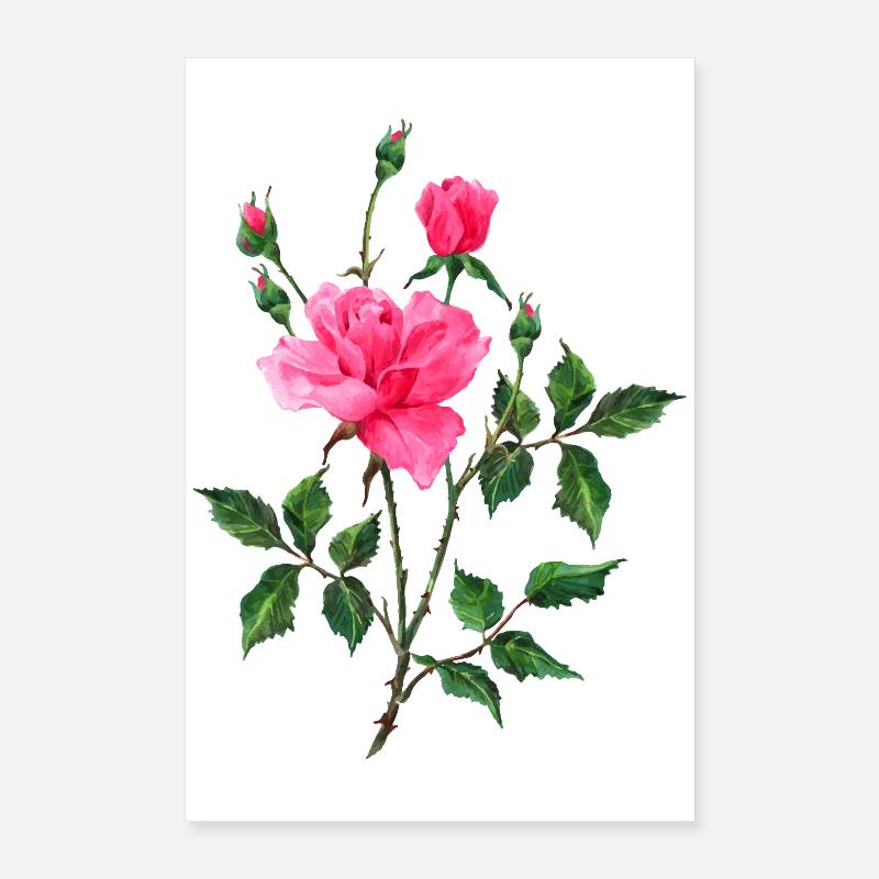 Blumen Poster 40x60 cm