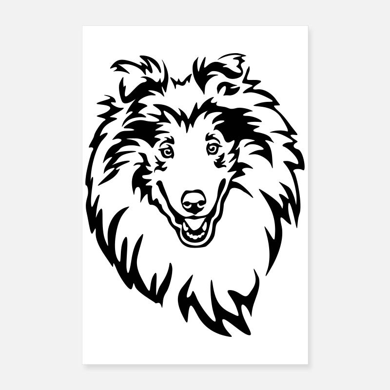 Collie Kopf Poster 40x60 cm