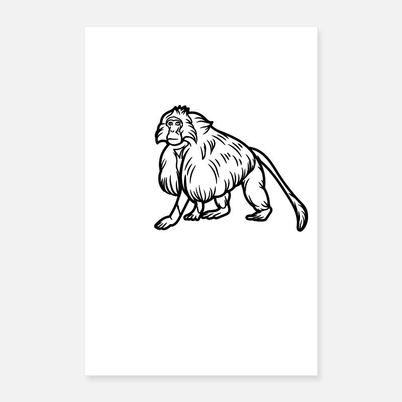 Gelada Monkey Poster 16" x 24" (40x60 cm)