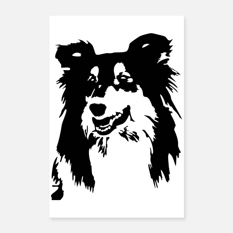 Collie Kopf Poster 40x60 cm