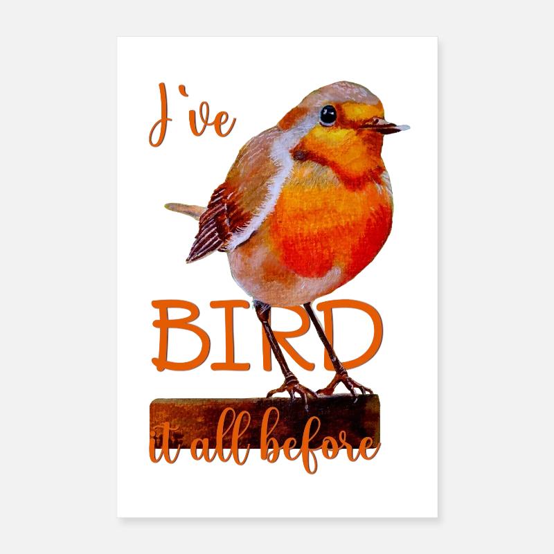 Rotkehlchen süßer Vogel Bird it all before Poster 40x60 cm